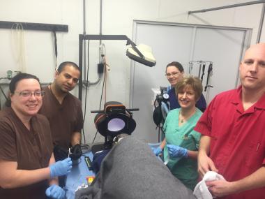 The Iowa team joined Brian Dacken and veterinarian, Dr. Lavalle, from the center, along with Rosanna Beraldi, PhD (not pictured) from the University of South Dakota. The Iowa team joined Brian Dacken and veterinarian, Dr. Lavalle, from the center, along with Rosanna Beraldi, PhD (not pictured) from the University of South Dakota.