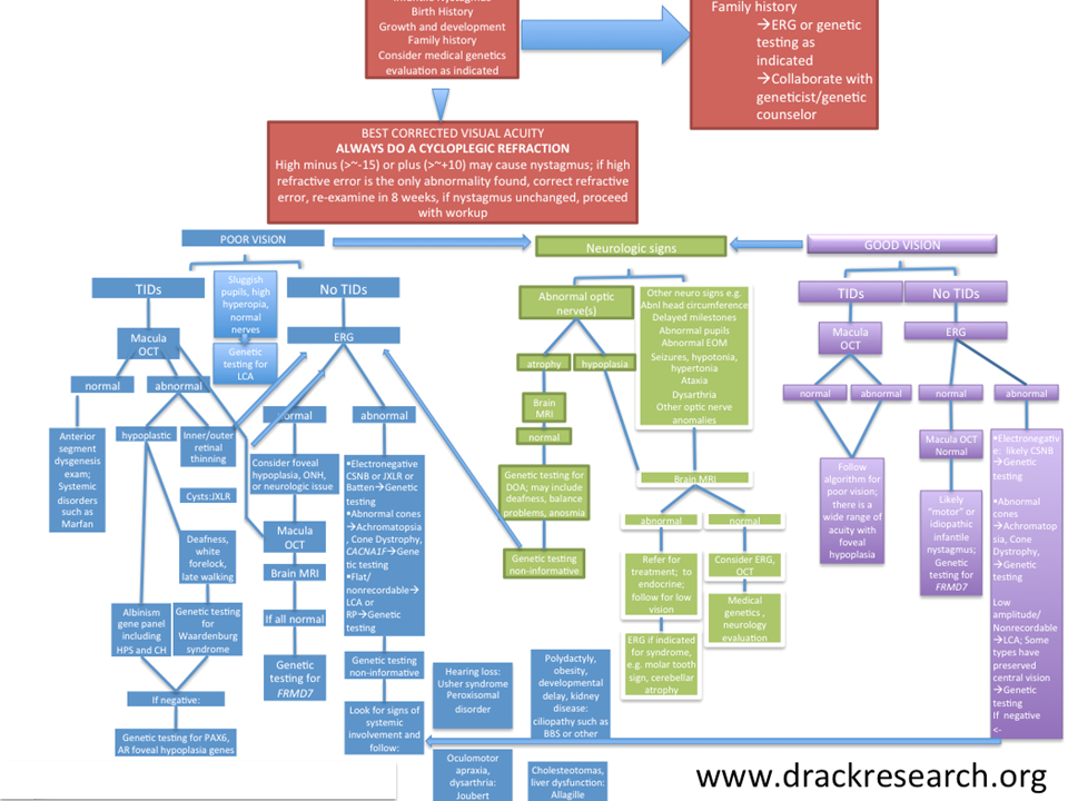 nystagmus algorithm.png